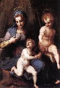 Andrea del Sarto Madonna mit Hl Johannes oil on canvas